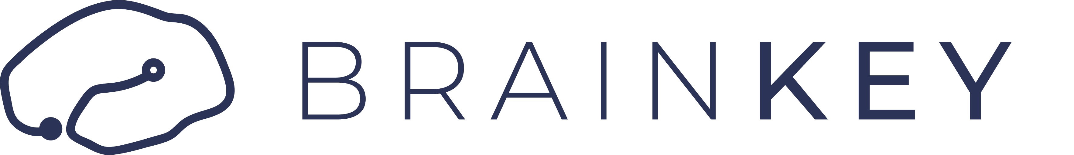BrainKey